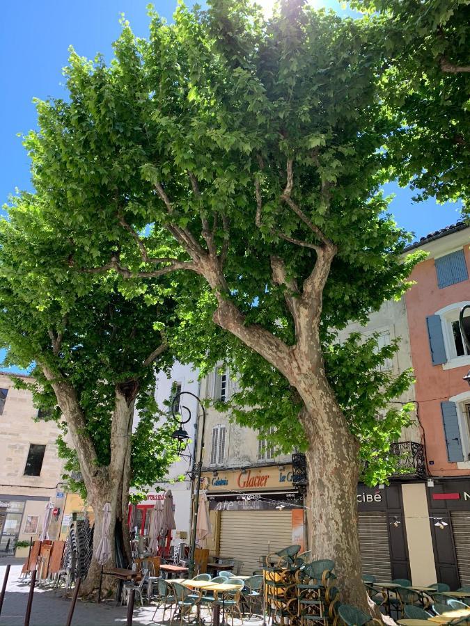 Fleurs De Provence Apartment L'Isle-sur-la-Sorgue Ngoại thất bức ảnh