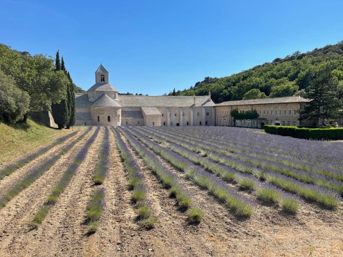 Fleurs De Provence Apartment L'Isle-sur-la-Sorgue Ngoại thất bức ảnh