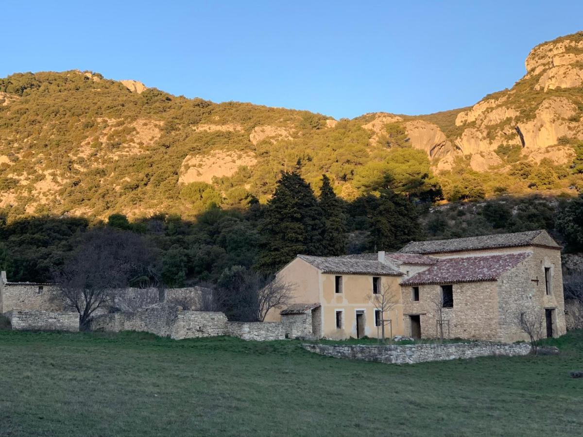 Fleurs De Provence Apartment L'Isle-sur-la-Sorgue Ngoại thất bức ảnh